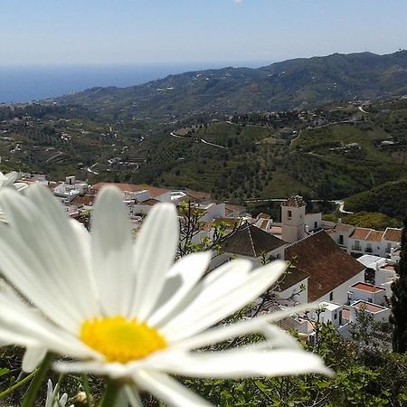 Casa Ana, Fantasticas Vistas A Frigiliana, El Mar Y La Montana Villa Exterior foto